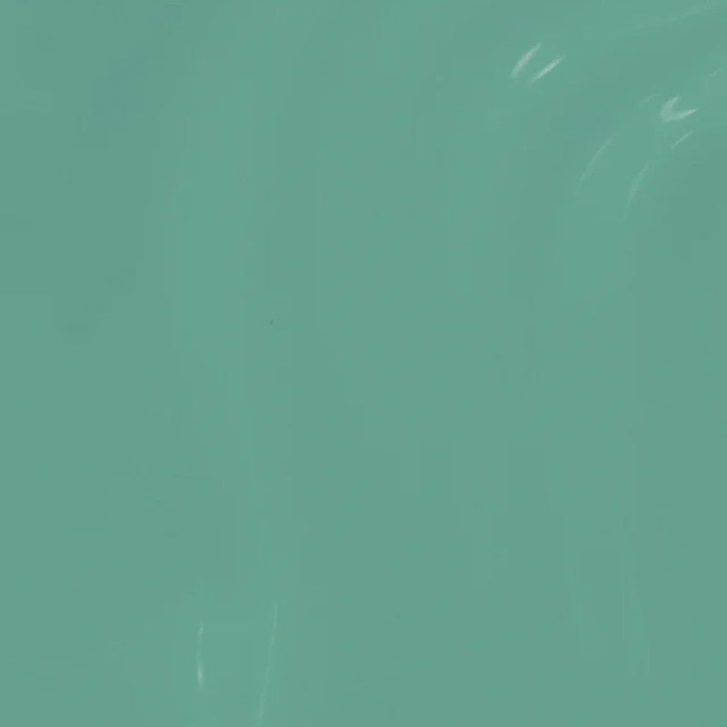 OPI Infinite Shine 15ml 2019 Tokyo - Im on a Sushi Roll