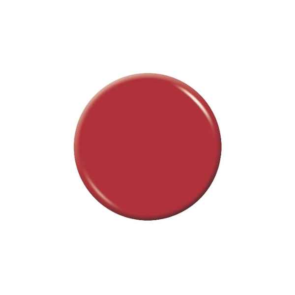 Exquisite Colour Powder - Brick Red 40 g. (1.4 oz.)