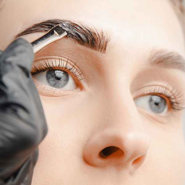 Online Lash & Brow Tint and Brow Shaping Workshop