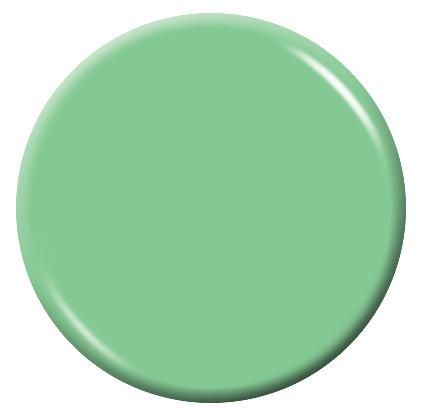 Exquisite Colour Powder - Mint Green 40 g. (1.4 oz.)