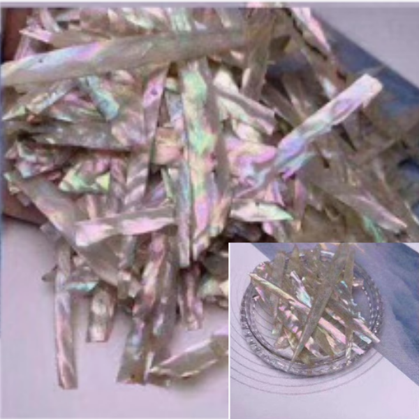 Shell Shards Natural Iridescent – Beauty Gallery